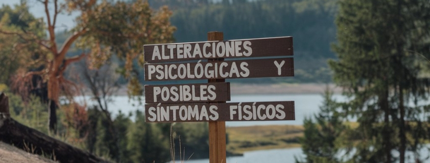 Un Sentimiento de Preocupación y Miedo Cotidiano podría afectar al Estómago e Intestinos a largo plazo. Psicología Astrológica