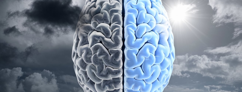 Neurobiología de la Depresión: ¿Cómo Afecta al Cerebro? Psicología