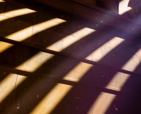 Cómo Saber si Estás Viviendo Desde tu Sol o Desde tu Sombra. Psicología astrológica