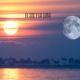 Cómo Integrar tus Opuestos: Cuando tu Sol y tu Luna Hablan Idiomas Distintos. Psicología astrológica